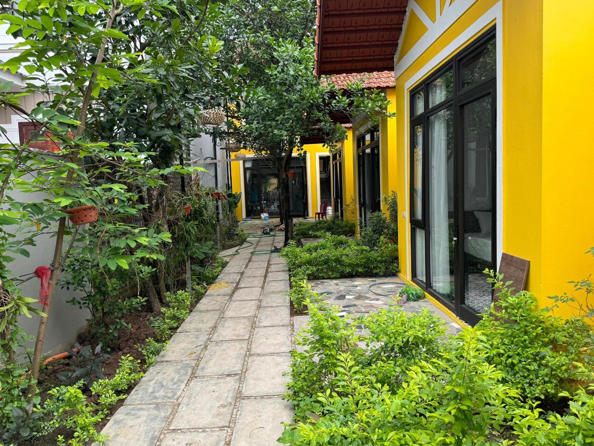 Azalea Tam Coc Ninh Binhゲストハウス エクステリア 写真